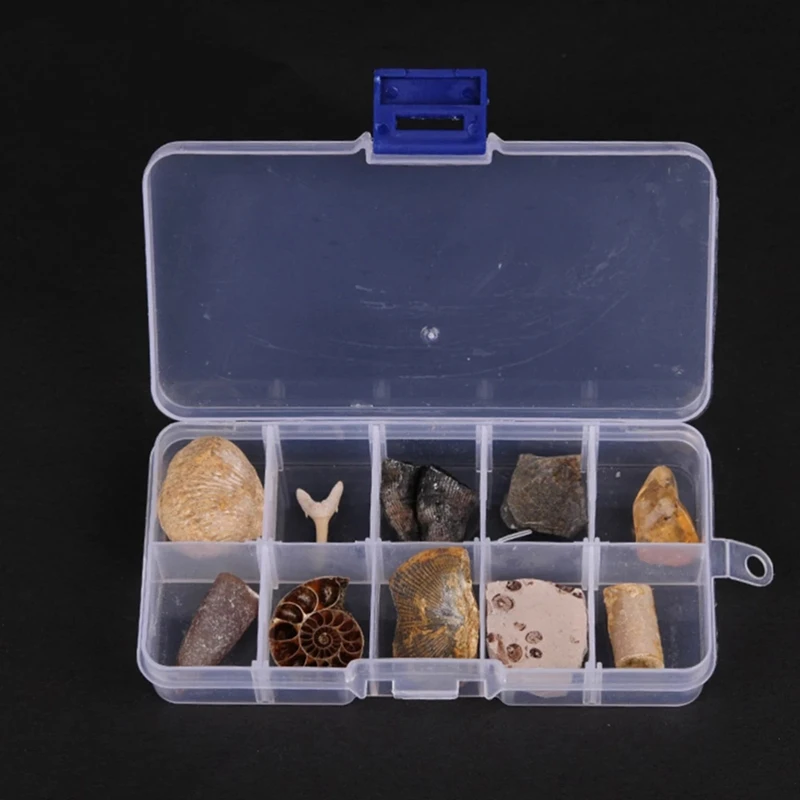 10Pcs Paleontologické Skamenelín Trilobite Amber Fosílnych Vedy Učebných Materiálov Trilobite Fosílnych Jantárové Ozdoby Obrázok 1